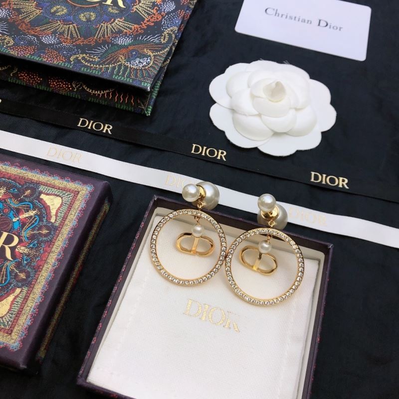 Christian Dior Earrings